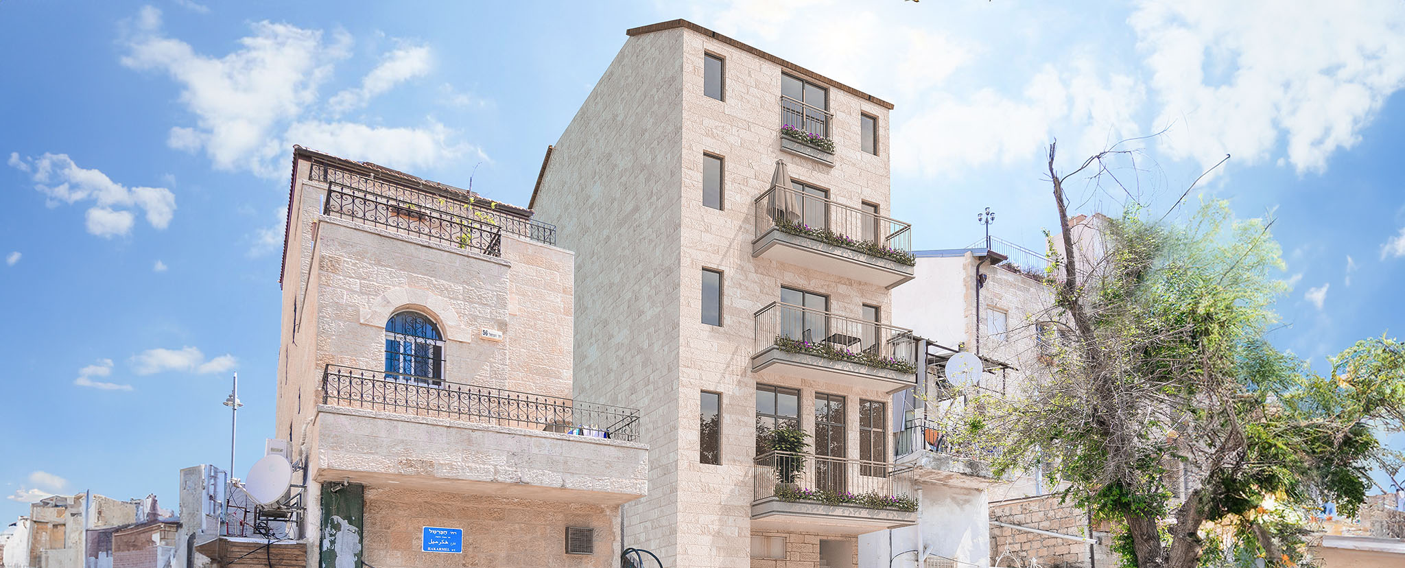 הדמיית פרויקט אגריפס