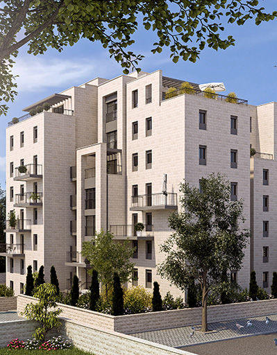 הדמיית פרויקט מבוא לבנה