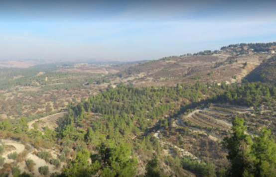 צפת 3