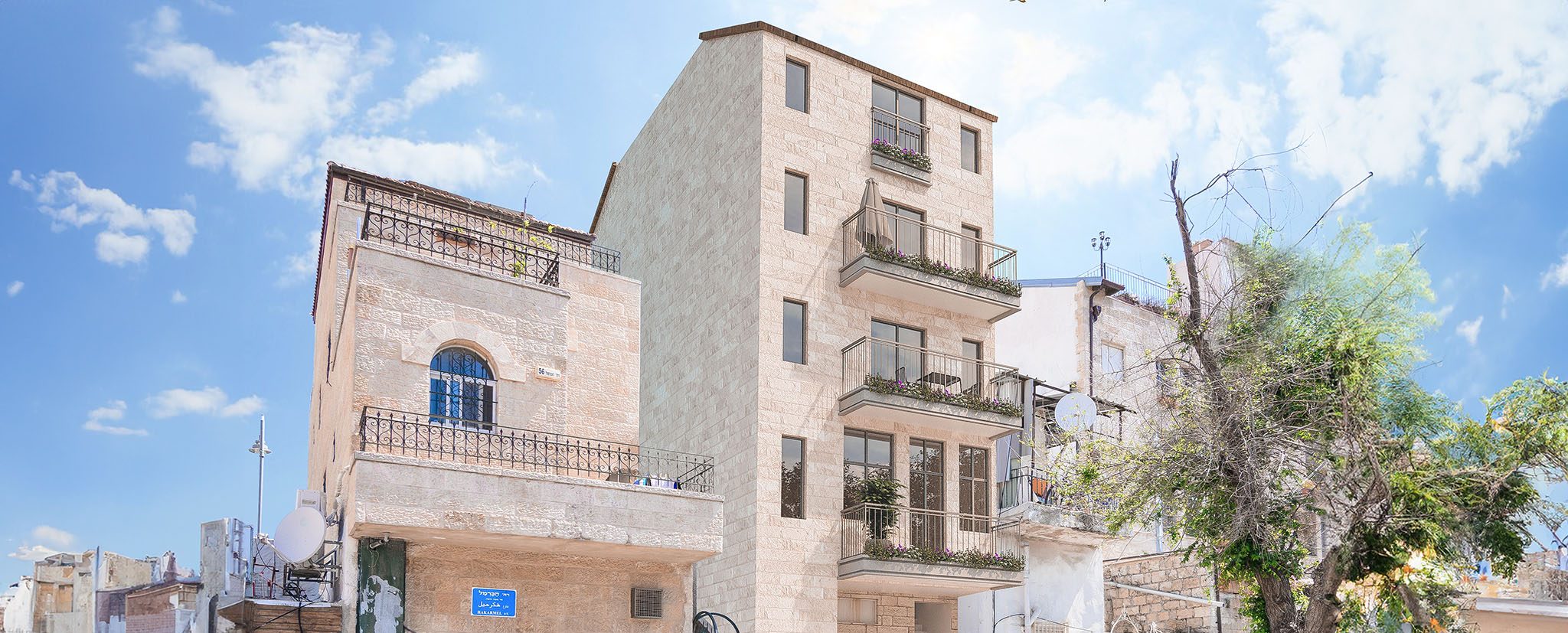 הדמיית פרויקט אגריפס